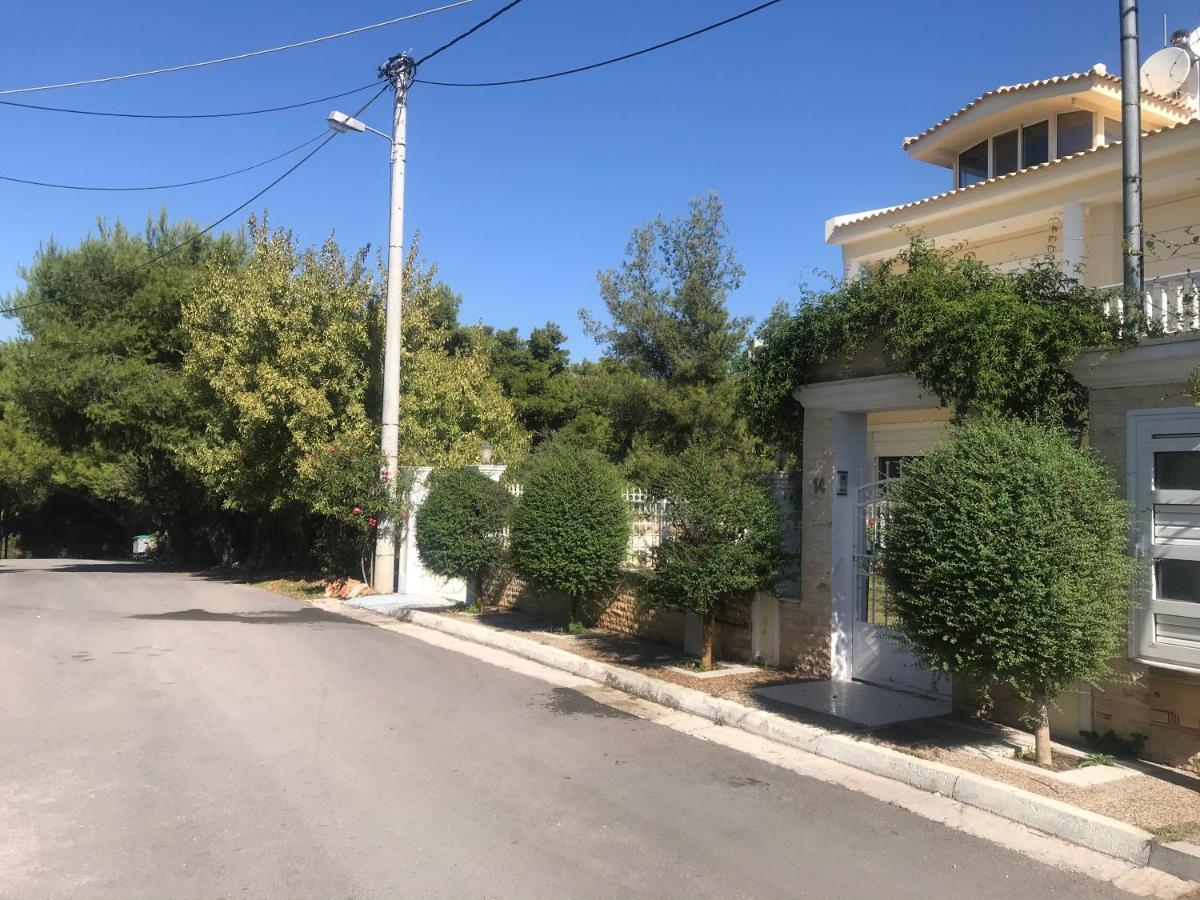Wonderful Playroom Apartment Αθήνα Εξωτερικό φωτογραφία
